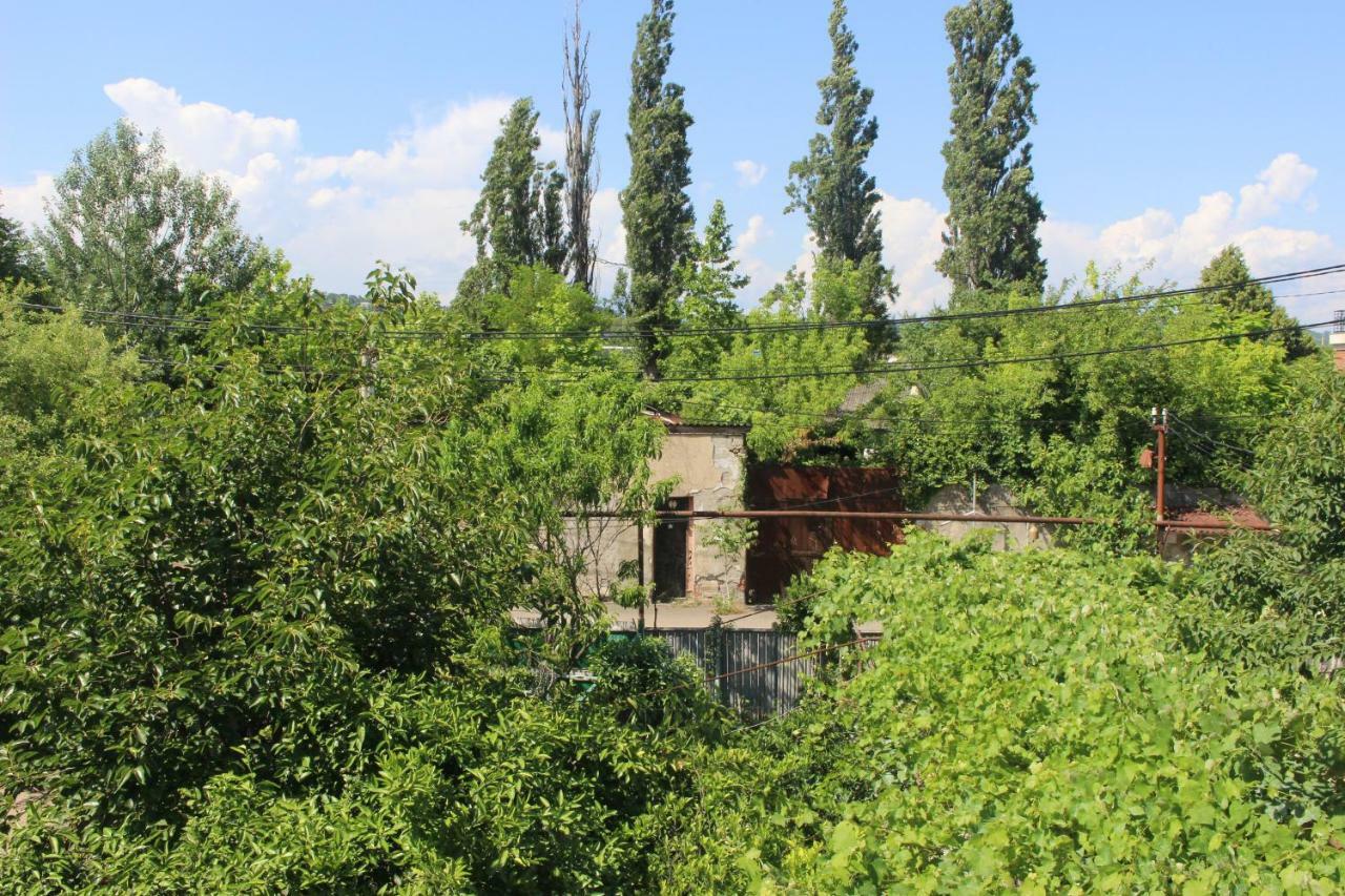 Гостевой дом Зарзма Кутаиси Экстерьер фото